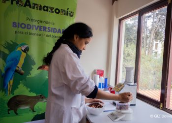 𝗕𝗢𝗟𝗜𝗩𝗜𝗔 𝗦𝗘𝗟𝗘𝗖𝗖𝗜𝗢𝗡𝗔 𝗟𝗔𝗦 10 𝗠𝗘𝗝𝗢𝗥𝗘𝗦 𝗠𝗨𝗘𝗦𝗧𝗥𝗔𝗦 𝗗𝗘 𝗖𝗔𝗖𝗔𝗢 𝗔𝗠𝗔𝗭𝗢𝗡𝗜𝗖𝗢